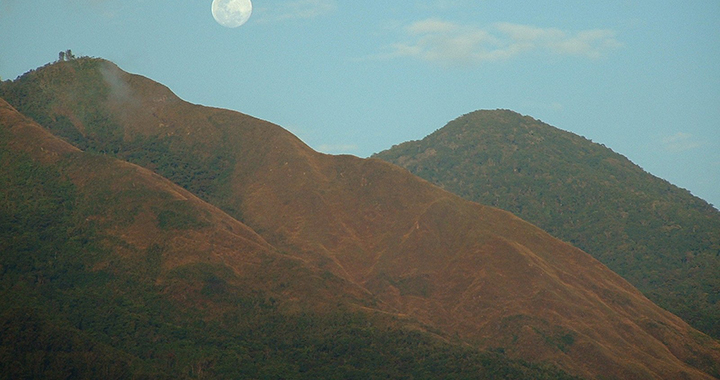 今日水瓶星座运势，（通用2篇）(图2)